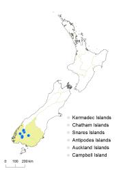 Cardamine eminentia distribution map based on databased records at AK, CHR, OTA & WELT.
 Image: K.Boardman © Landcare Research 2018 CC BY 4.0
